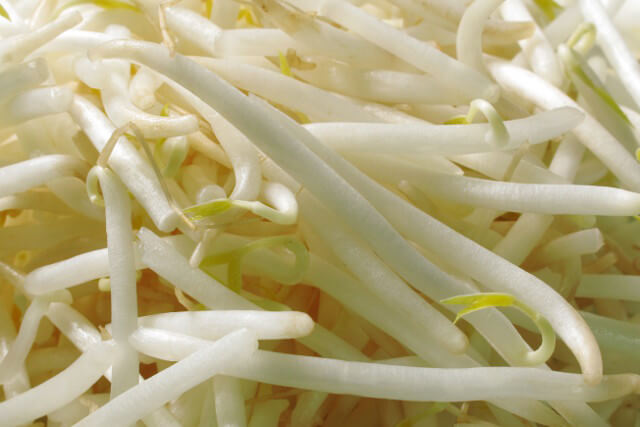 貧乏風俗嬢の強い味方「もやし」が栄養豊富…というウソ